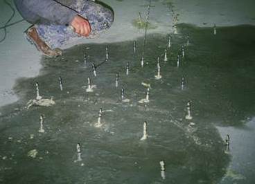 Drückendes Wasser Drückendes Wasser.jpg